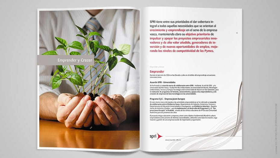 Diseño Informe Anual Spri