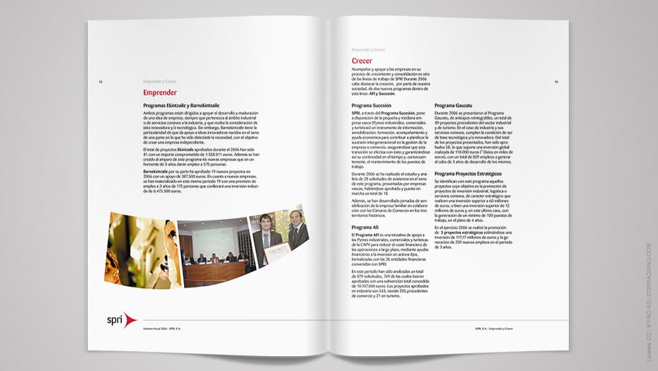 Informe Anual 2006 Spri